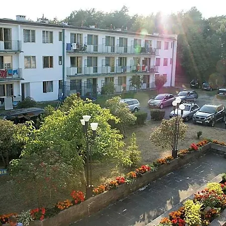Ow Carbo - W Sasiedztwie Lasu I Jeziora